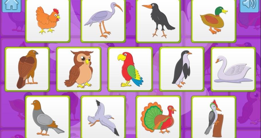 Screen Shot image 1 Kids Memory Game ستيم كود رقمي