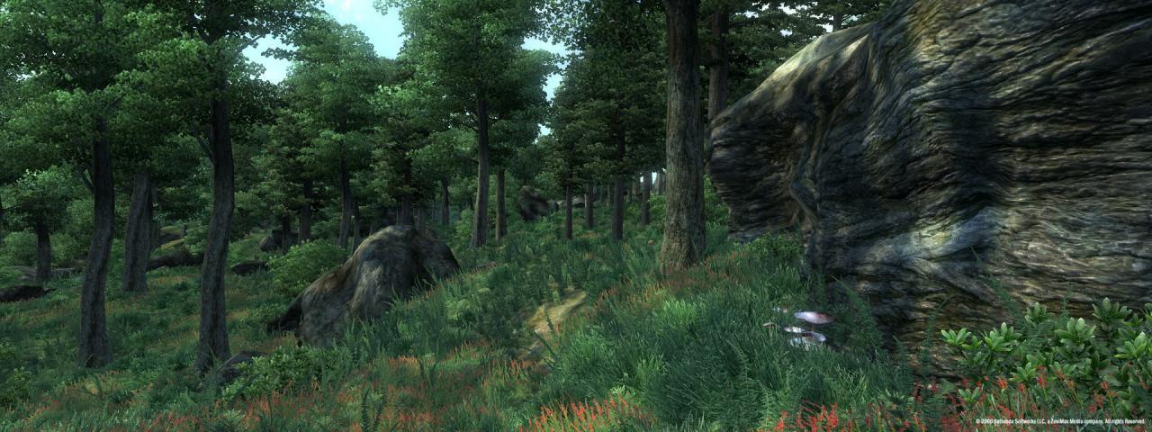 Screen Shot image 7 The Elder Scrolls IV: Oblivion GOTY اصدار ستيم هدية