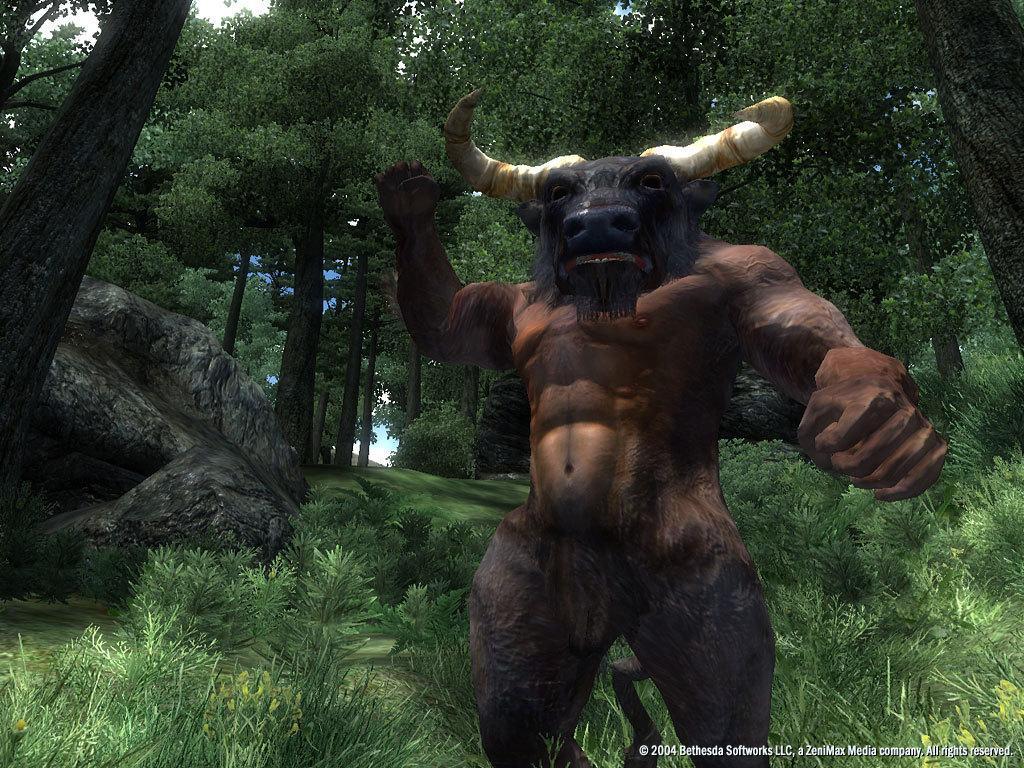 Screen Shot image 4 The Elder Scrolls IV: Oblivion GOTY اصدار ديلوكس ستيم كود رقمي