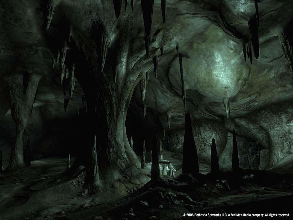 Screen Shot image 1 The Elder Scrolls IV: Oblivion GOTY اصدار اوروبي ستيم كود رقمي