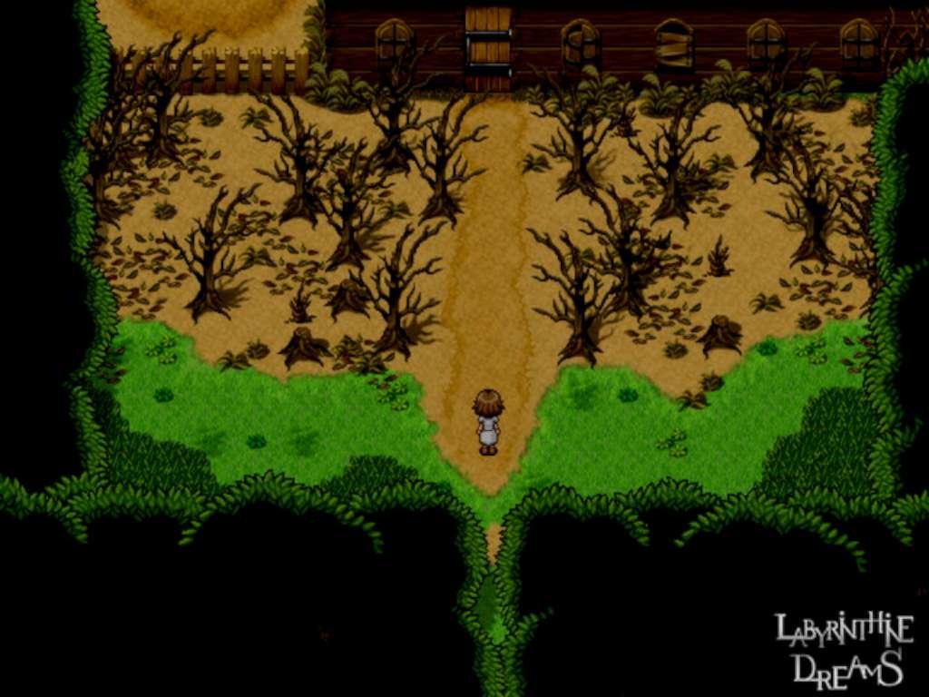 Screen Shot image 3 Labyrinthine Dreams بي سي ستيم كود رقمي