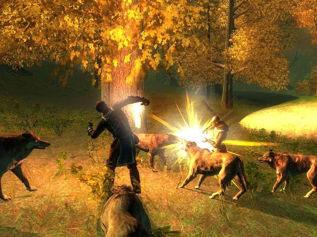 Screen Shot image 1 Drakensang GOG كود رقمي