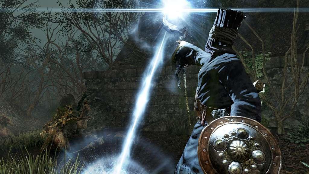 Screen Shot image 1 Dark Souls II بي سي ستيم كود رقمي