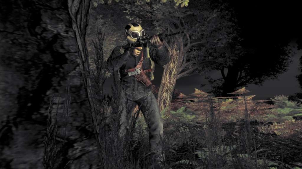 Screen Shot image 0 DayZ اصدار الديلوكس بي سي ستيم حساب