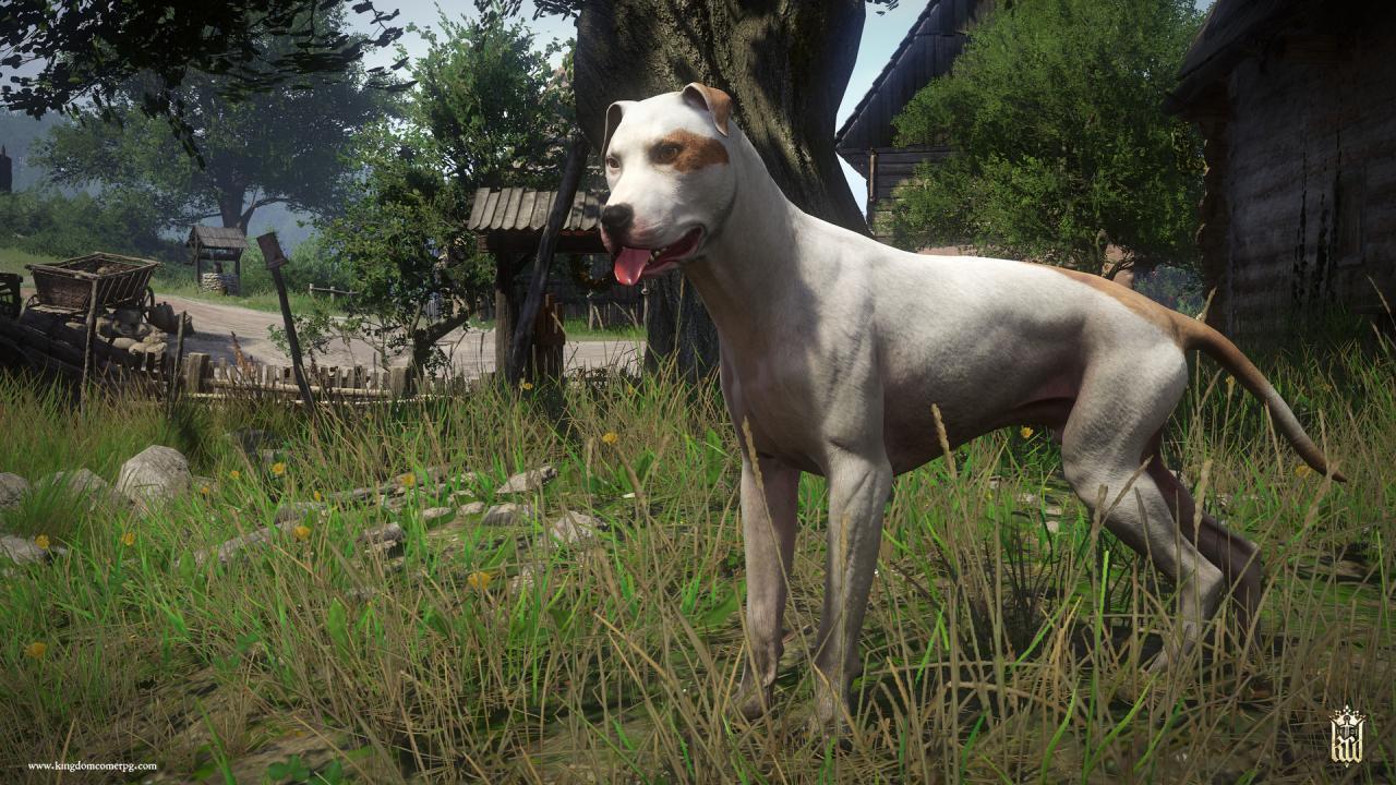 Screen Shot image 4 Kingdom Come: Deliverance - A Woman'S Lot DLC رابط هديه ستيم