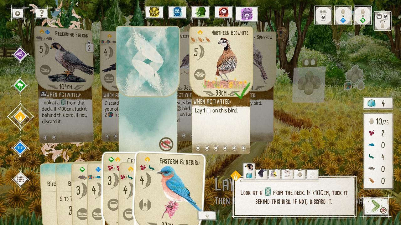 Screen Shot image 4 Wingspan + European Expansion + Oceania Expansion + Seasonal Decorative Pack ارجنتيني اكسبوكس 1 / إكس بوكس سيريس X|S كود رقمي