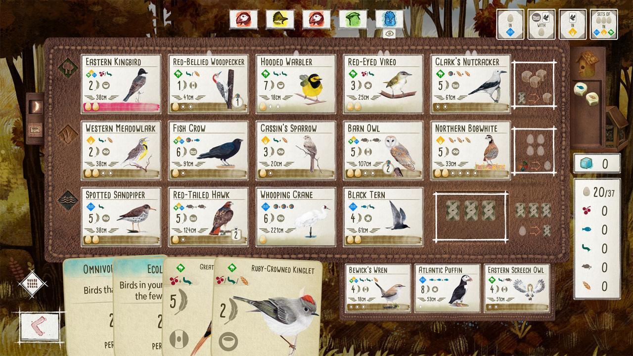 Screen Shot image 3 Wingspan بي سي ستيم حساب