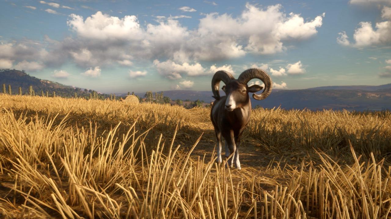 Screen Shot image 0 TheHunter: Call Of The Wild - Cuatro Colinas Game Reserve رابط هديه ستيم