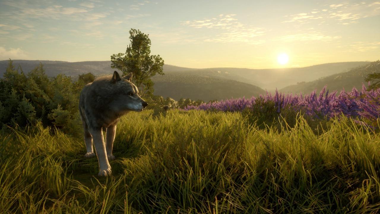 Screen Shot image 1 TheHunter: Call Of The Wild - Cuatro Colinas Game Reserve اوروبي رابط هديه ستيم