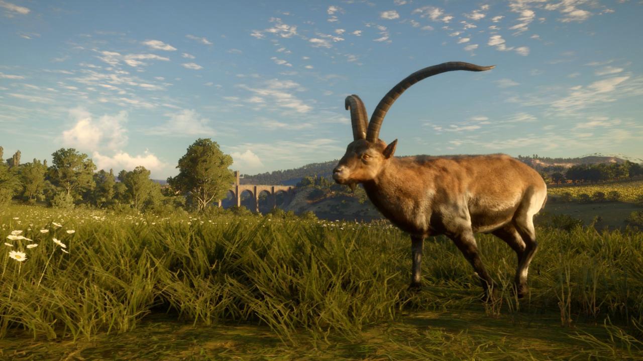 Screen Shot image 2 TheHunter: Call Of The Wild - Cuatro Colinas Game Reserve اوروبي رابط هديه ستيم