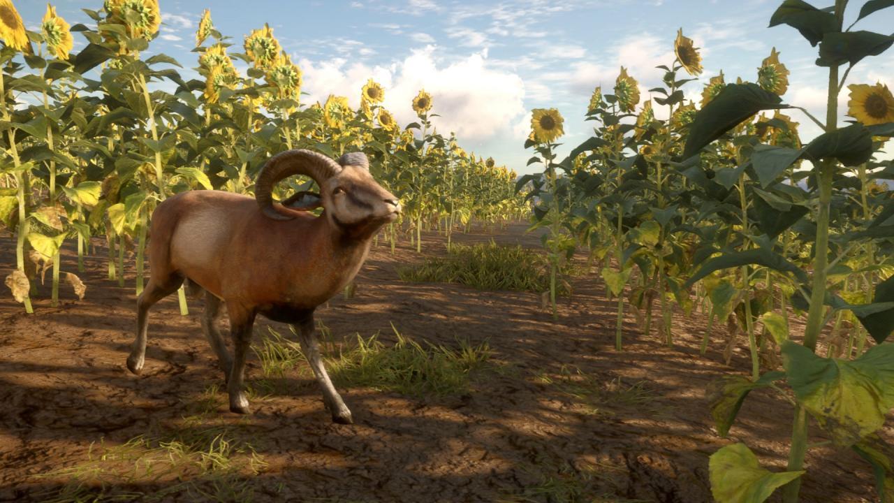 Screen Shot image 3 TheHunter: Call Of The Wild - Cuatro Colinas Game Reserve رابط هديه ستيم