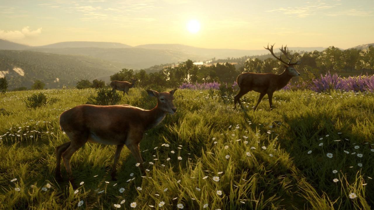 Screen Shot image 5 TheHunter: Call Of The Wild - Cuatro Colinas Game Reserve رابط هديه ستيم