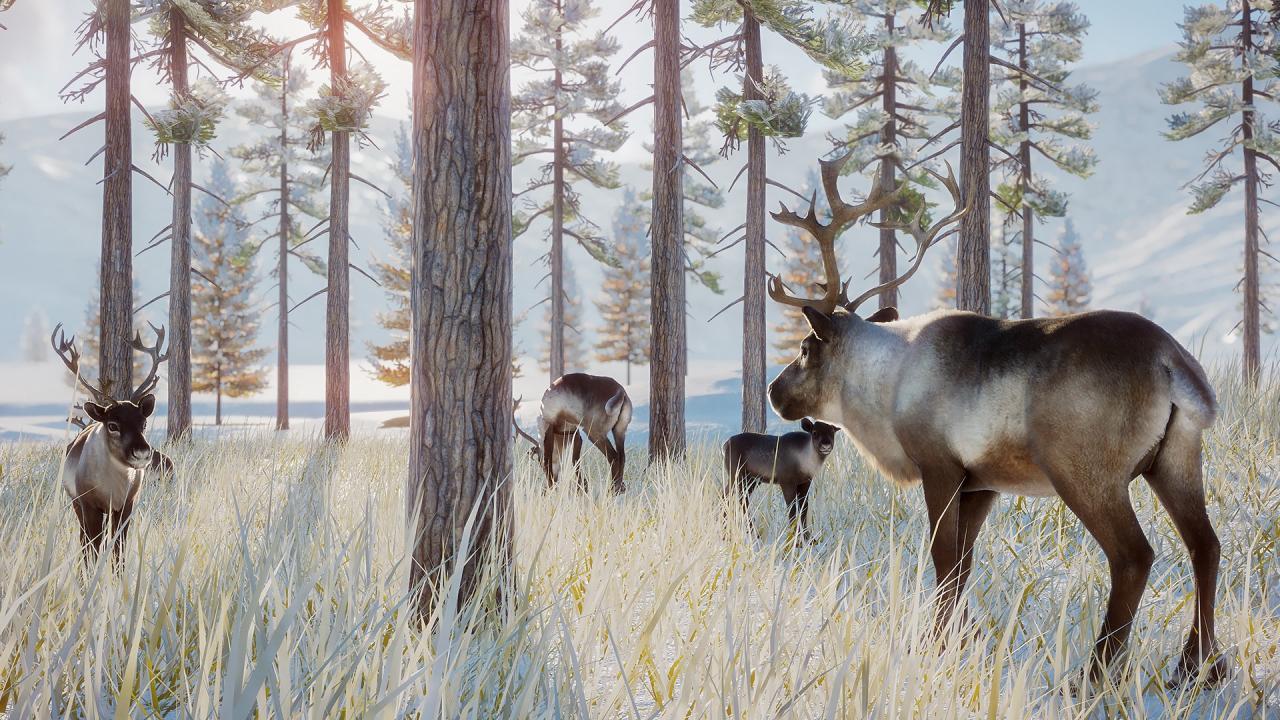 Screen Shot image 2 Planet Zoo - Arctic Pack DLC اوروبي رابط هديه ستيم