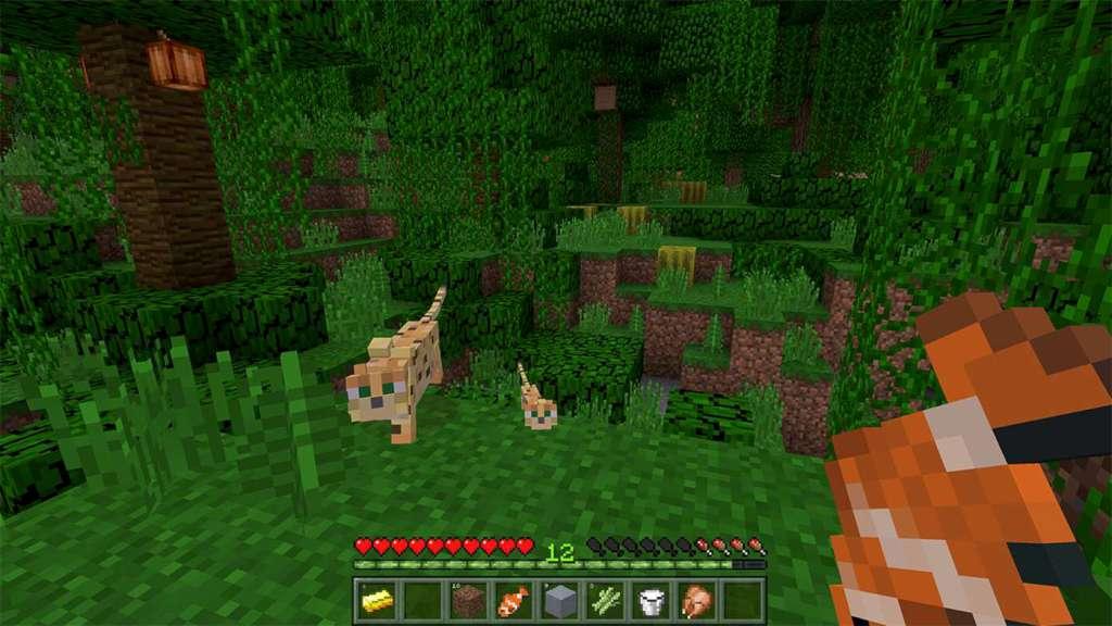 Screen Shot image 0 Minecraft ويندوز 10 اصدار ارجنتيني بي سي كود رقمي