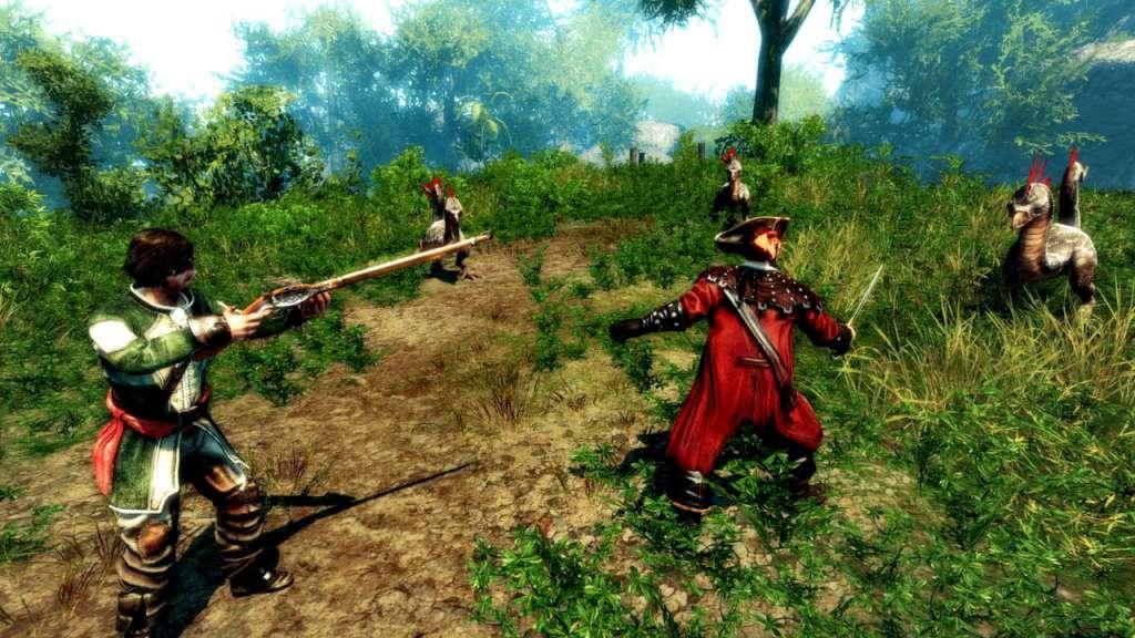 Screen Shot image 4 Risen 2: Dark Waters Stam هدية