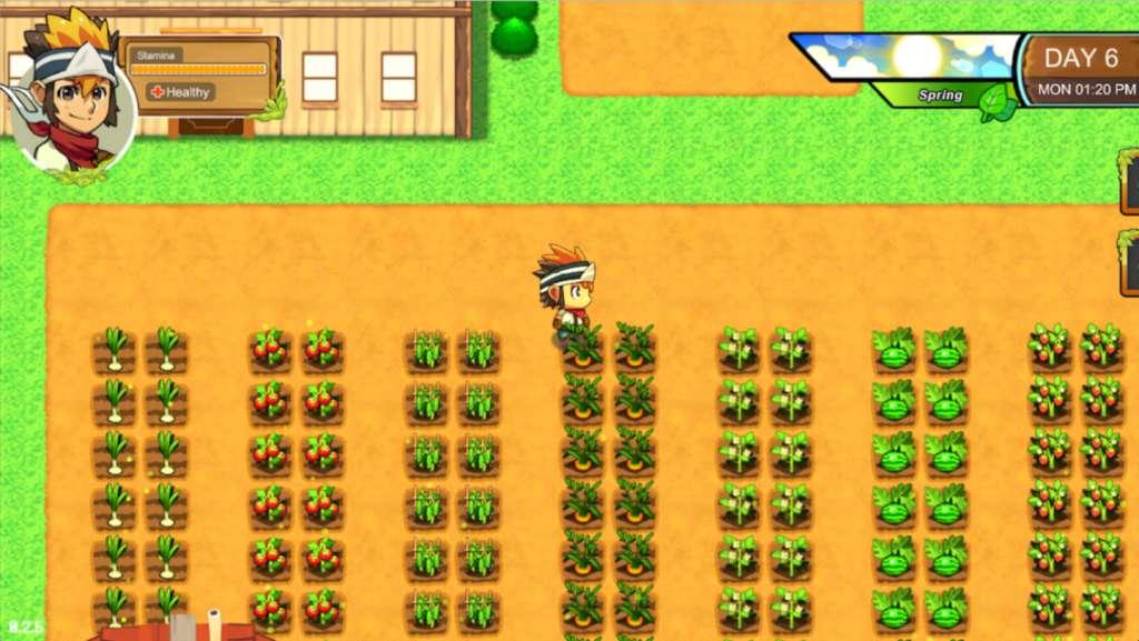Screen Shot image 1 Wild Season ستيم كود رقمي