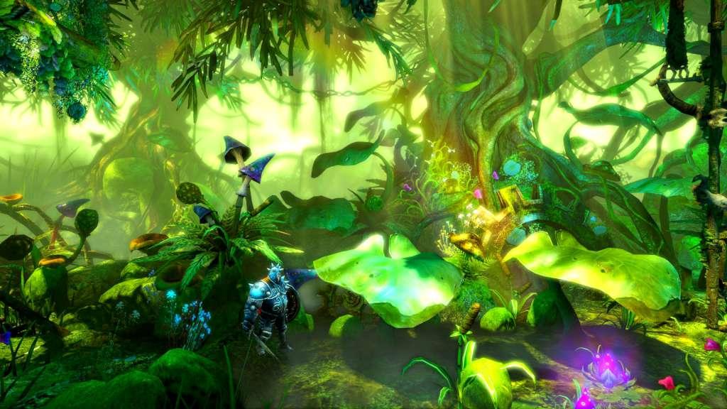 Screen Shot image 4 Trine 2: Complete Story بي سي ستيم كود رقمي