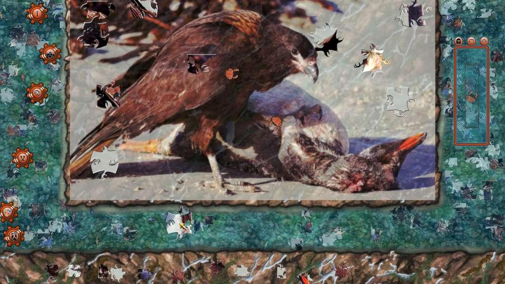 Screen Shot image 5 Pixel Puzzles 2: Birds ستيم كود رقمي