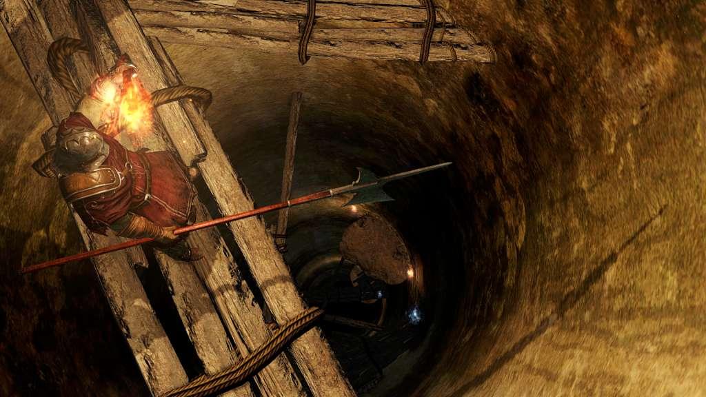 Screen Shot image 3 Dark Souls II بي سي ستيم كود رقمي