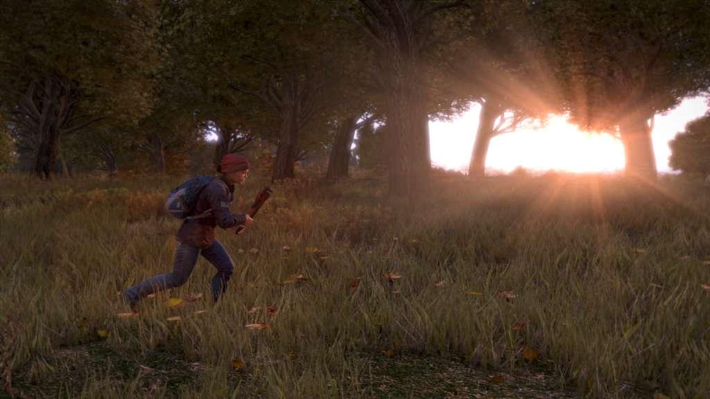 Screen Shot image 2 DayZ اصدار الديلوكس بي سي ستيم حساب