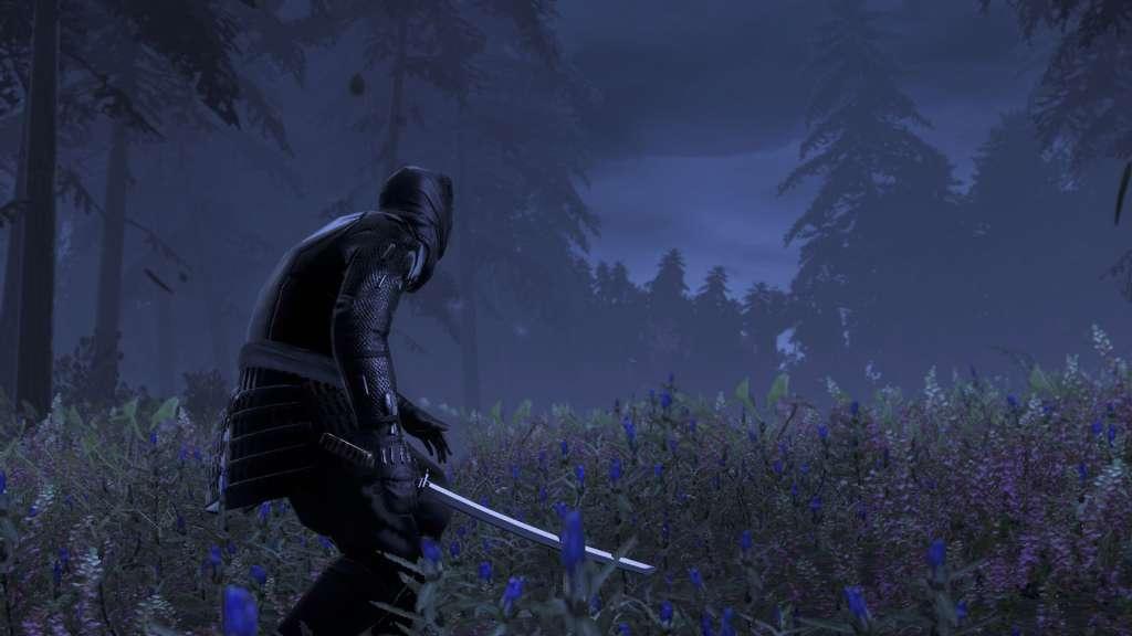 Screen Shot image 1 Total War: SHOGUN 2 - The Hattori Clan Pack DLC بي سي ستيم كود رقمي