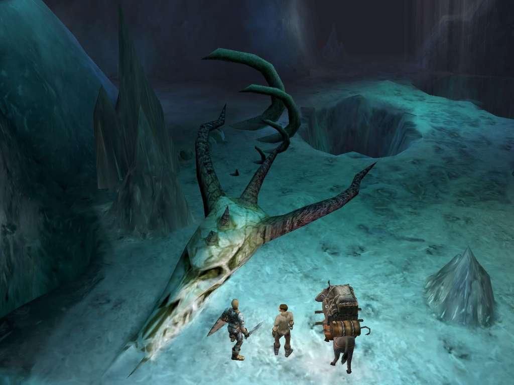 Screen Shot image 2 Dungeon Siege بي سي ستيم كود رقمي