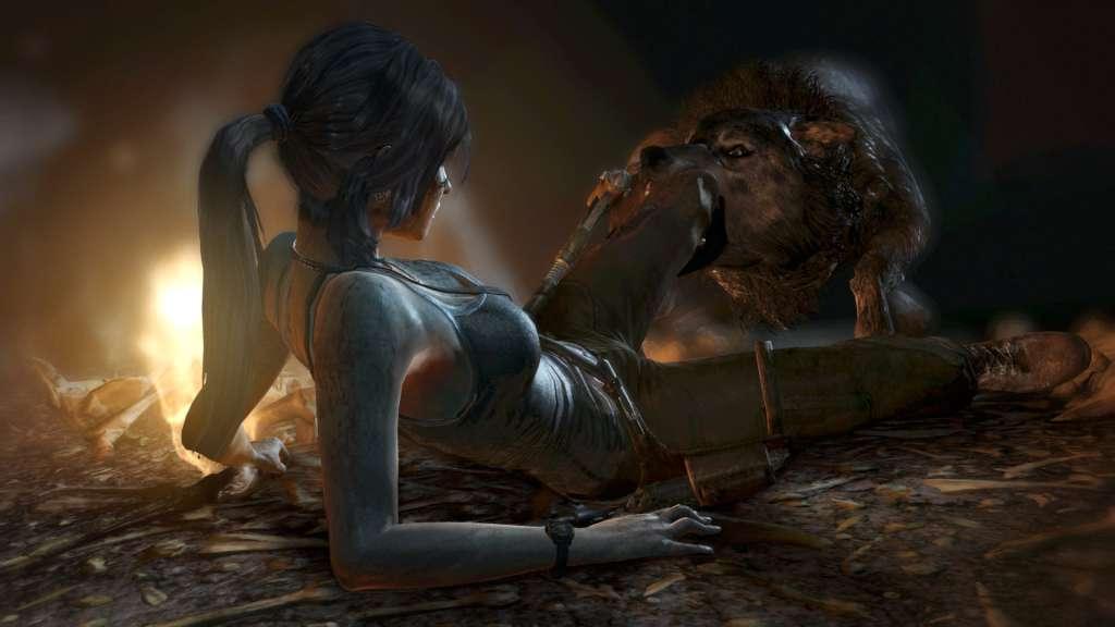 Screen Shot image 3 Tomb Raider ستيم هدية