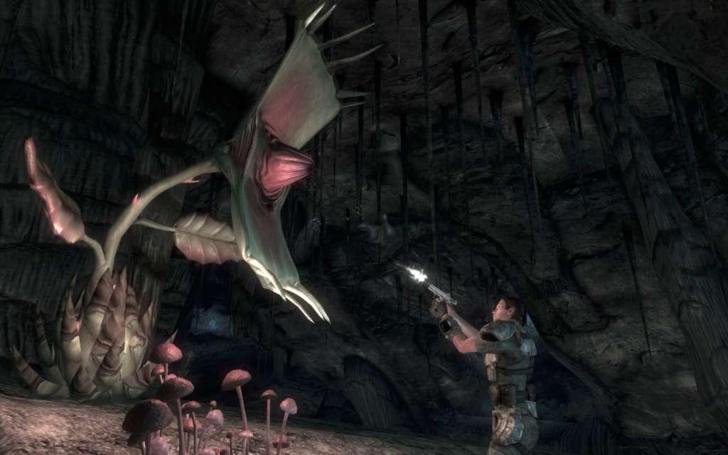 Screen Shot image 2 Fallout 3 GOTY + Fallout New Vegas اولتمت اصدار ستيم كود رقمي