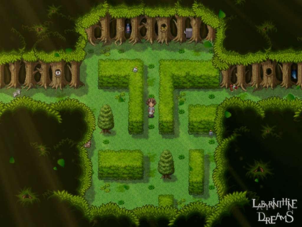 Screen Shot image 4 Labyrinthine Dreams بي سي ستيم كود رقمي