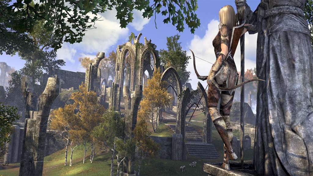 Screen Shot image 4 The Elder Scrolls Online: Tamriel Unlimited Digital Download كود رقمي