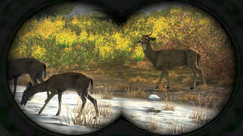 Screen Shot image 4 Cabela'S Big Game Hunter Pro Hunts ستيم كود رقمي