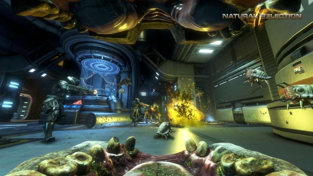 Screen Shot image 4 Natural Selection 2 ستيم هدية