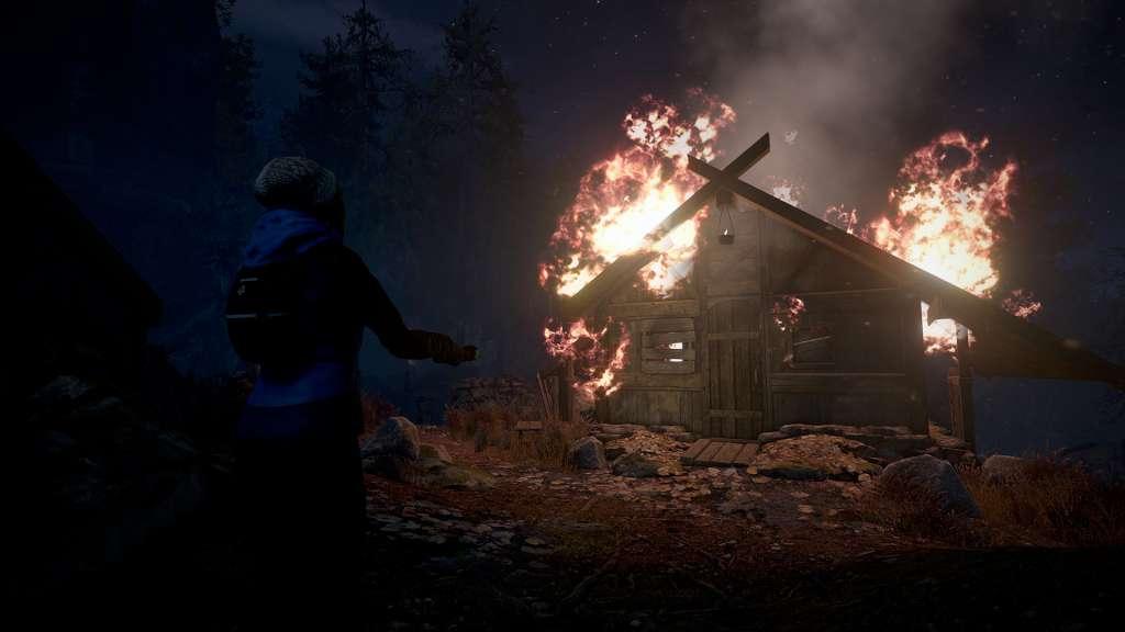 Screen Shot image 3 Through The Woods ستيم كود رقمي