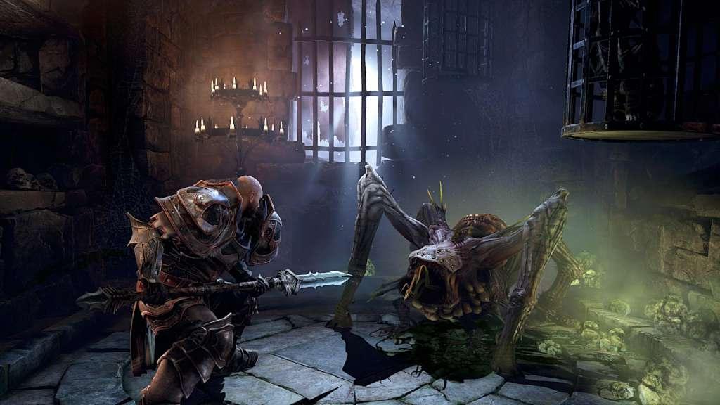 Screen Shot image 2 Lords Of The Fallen - Lion Heart Pack ستيم كود رقمي