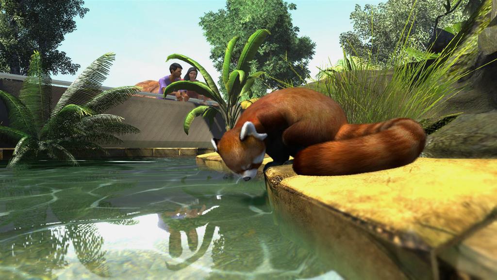 Screen Shot image 3 Zoo Tycoon: اولتمت Animal Collection CHINA ستيم كود رقمي