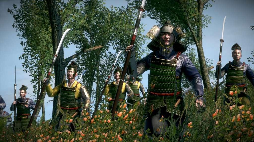 Screen Shot image 3 Total War: Shogun 2 - Rise Of The Samurai Campaign DLC RU VPN Required ستيم كود رقمي