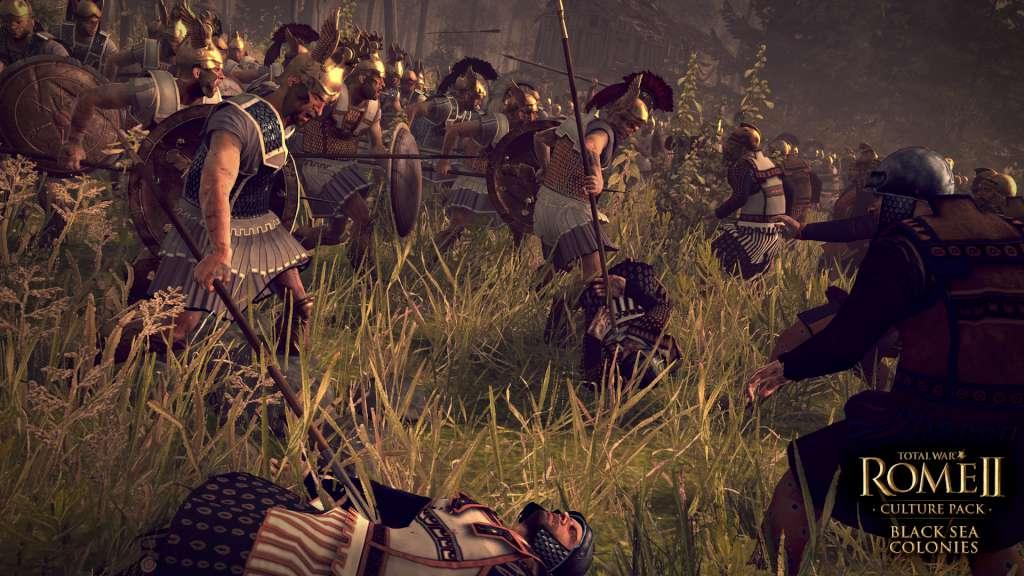 Screen Shot image 3 Total War: ROME II - Black Sea Colonies Culture Pack DLC بي سي ستيم كود رقمي