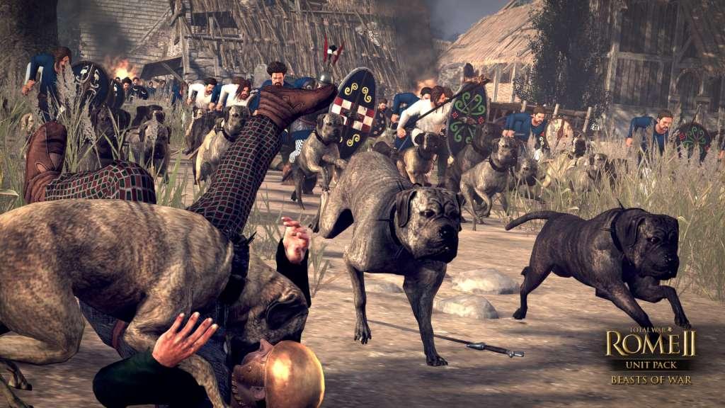 Screen Shot image 3 Total War: ROME II - Beasts Of War Unit Pack DLC بي سي ستيم كود رقمي