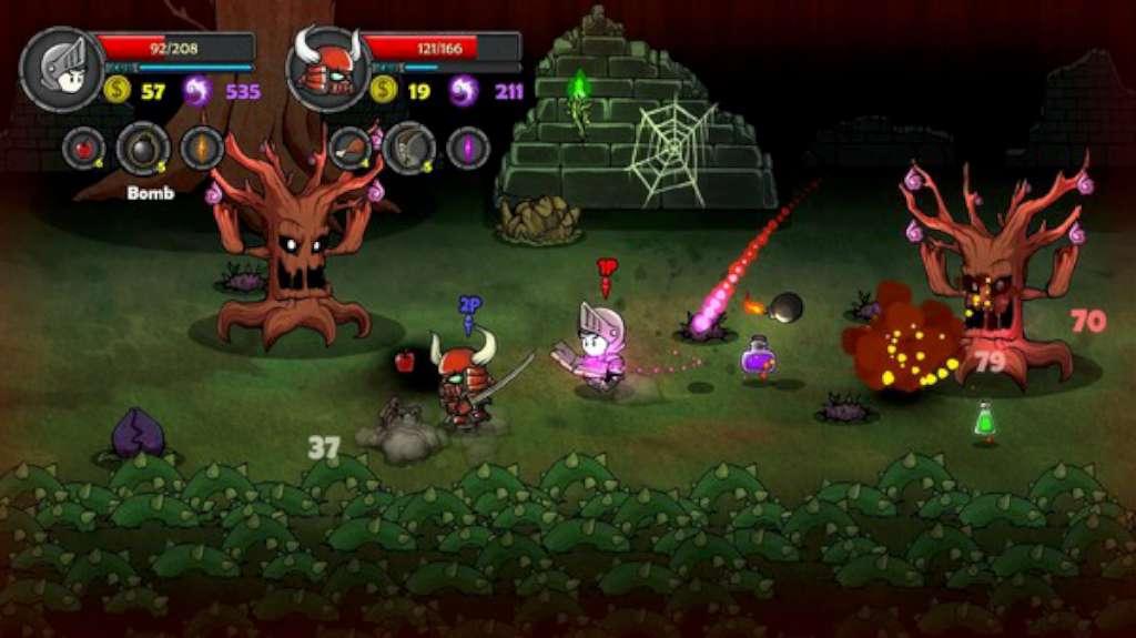 Screen Shot image 4 Lost Castle بي سي ستيم كود رقمي