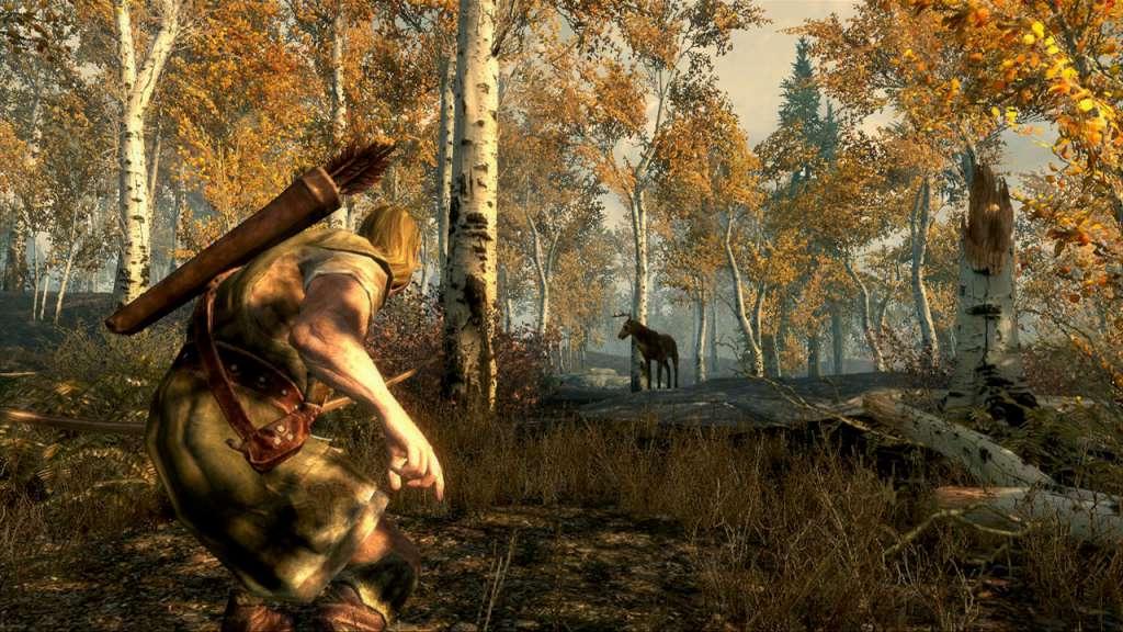 Screen Shot image 5 The Elder Scrolls V: Skyrim PL لغة فقط بي سي ستيم كود رقمي