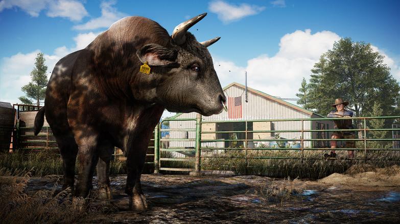 Screen Shot image 4 Far Cry 5 اوروبي اكسبوكس 1 كود رقمي