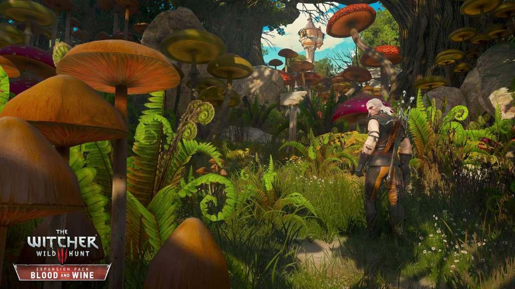 Screen Shot image 4 The Witcher 3: Wild Hunt - Blood And Wine DLC رابط هديه ستيم