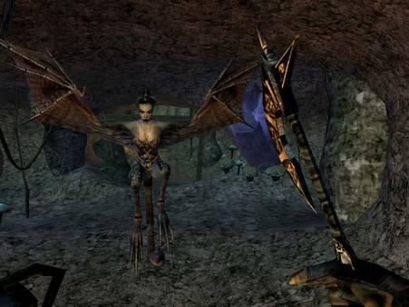 Screen Shot image 3 The Elder Scrolls III Morrowind GOTY ستيم كود رقمي