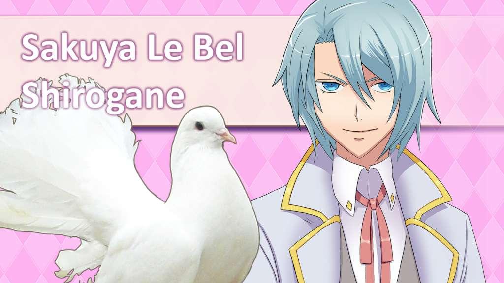 Screen Shot image 1 Hatoful Boyfriend Collector'S اصدار ستيم كود رقمي