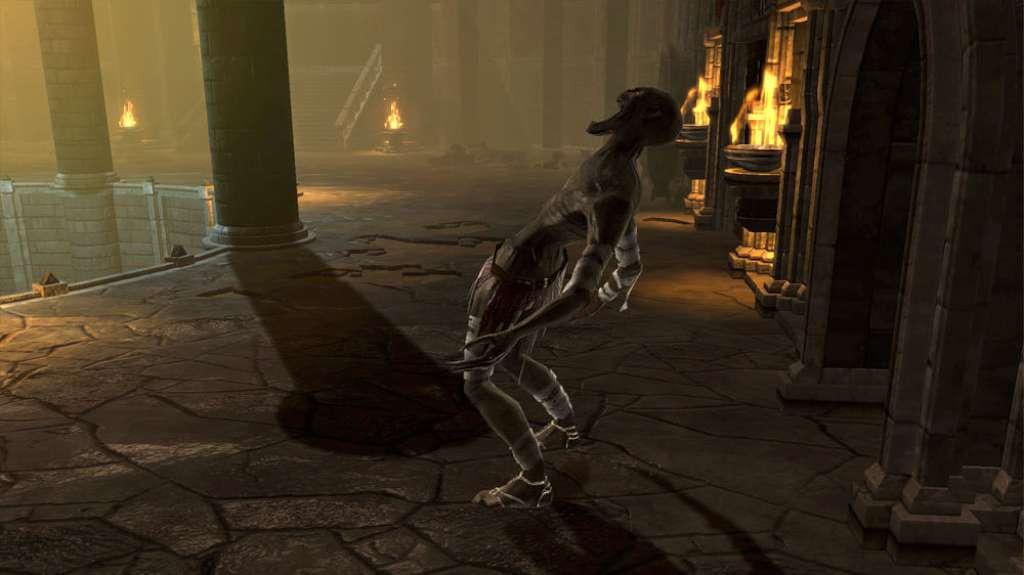 Screen Shot image 5 Dungeon Siege III: Treasures Of The Sun DLC بي سي ستيم كود رقمي