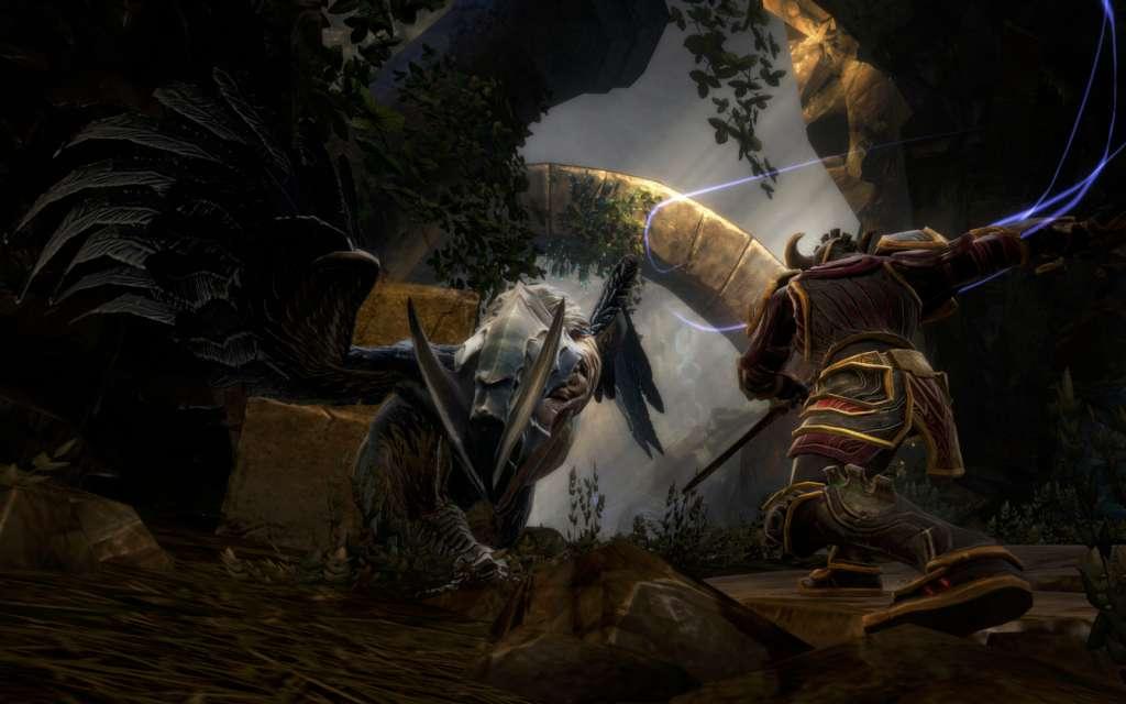 Screen Shot image 1 Kingdoms Of Amalur: Reckoning - Collection ستيم هدية