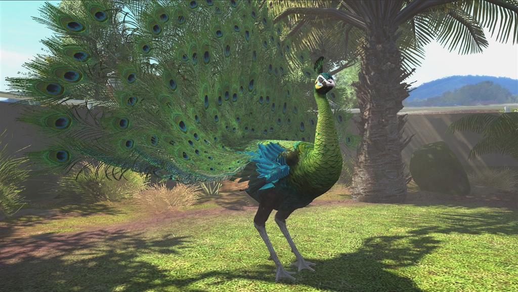 Screen Shot image 5 Zoo Tycoon اولتمت Animal Collection بريطاني اكسبوكس 1 / ويندوز 10 كود رقمي