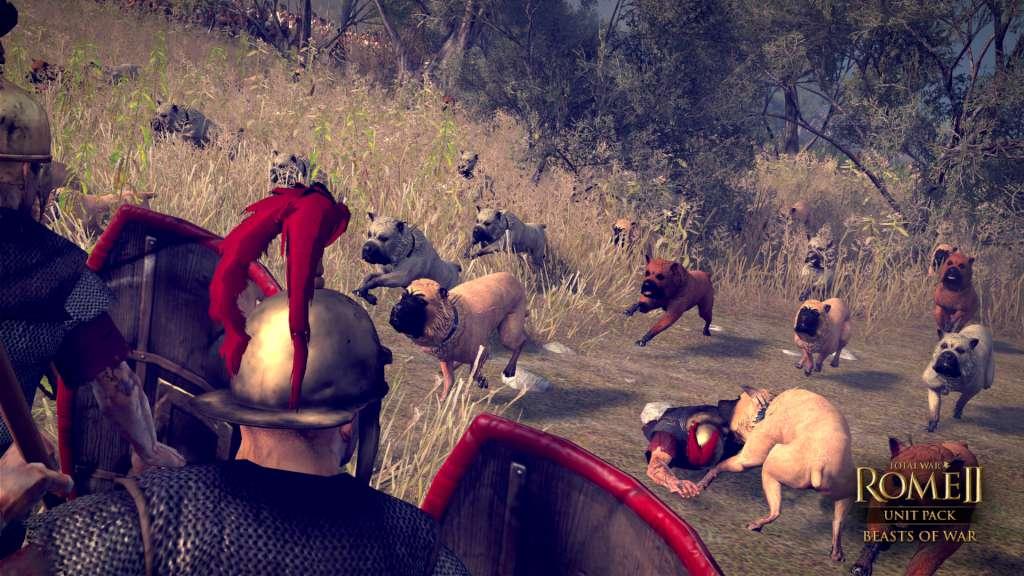 Screen Shot image 5 Total War: ROME II - Beasts Of War Unit Pack DLC بي سي ستيم كود رقمي