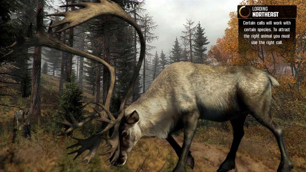Screen Shot image 3 Cabela'S Big Game Hunter Pro Hunts ستيم هدية