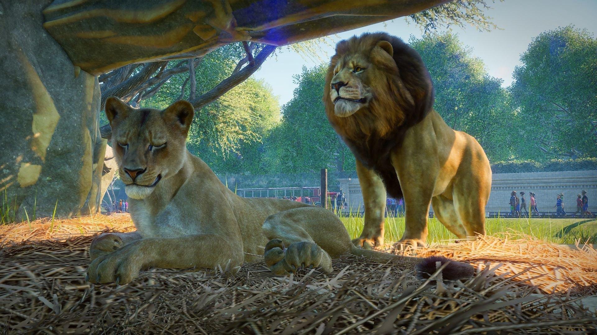 Screen Shot image 0 Planet Zoo + Aquatic + Arctic + North America Animal DLCs اوروبي ستيم كود رقمي